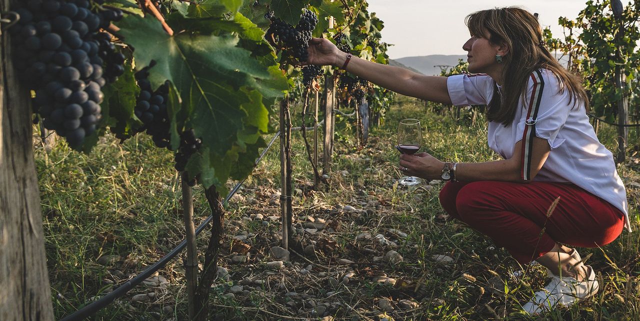 Tu kobiety nie powinny robić wina. Bo może "zmienić charakter"