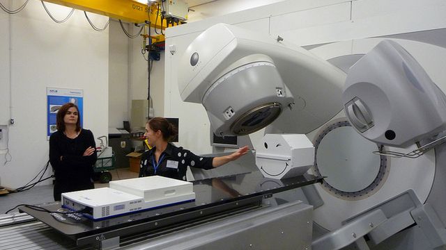 Barwniki roślin pomagają w terapii nowotworów - twierdzą polscy naukowcy 1