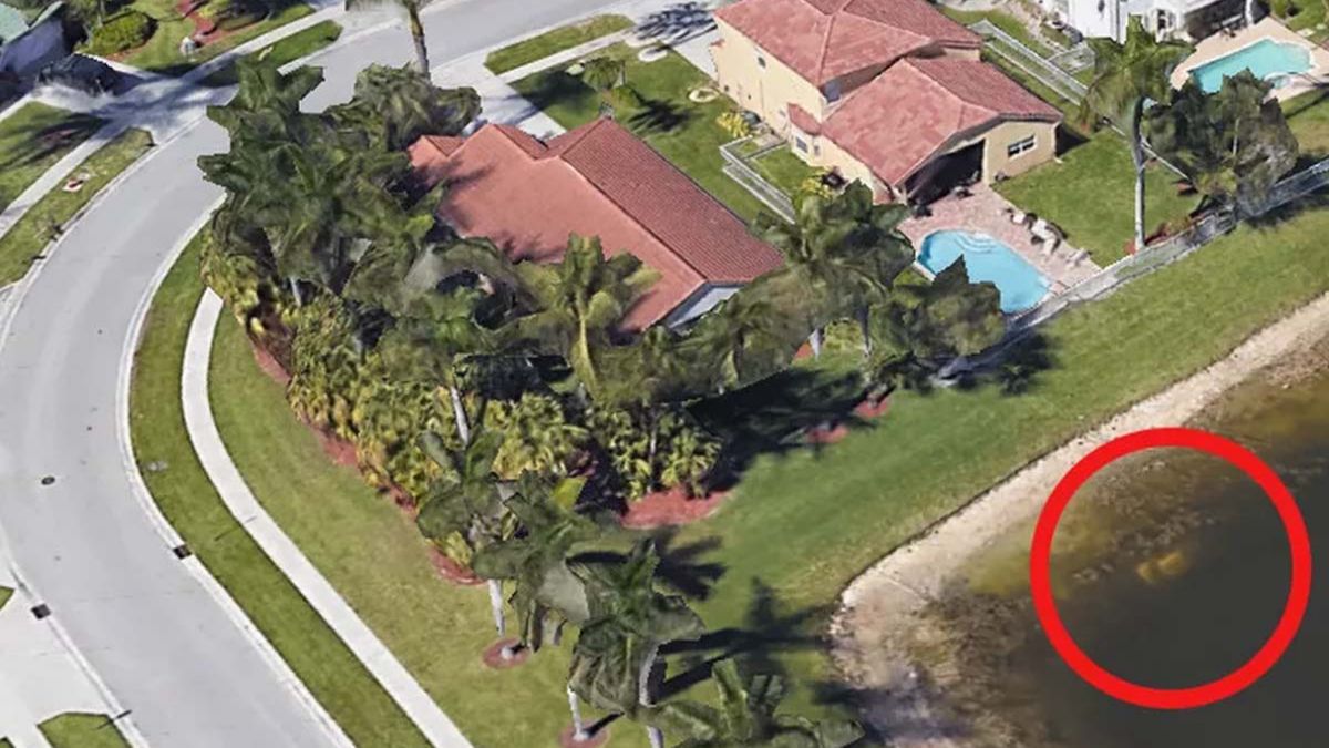 mapy google nie zyje google maps