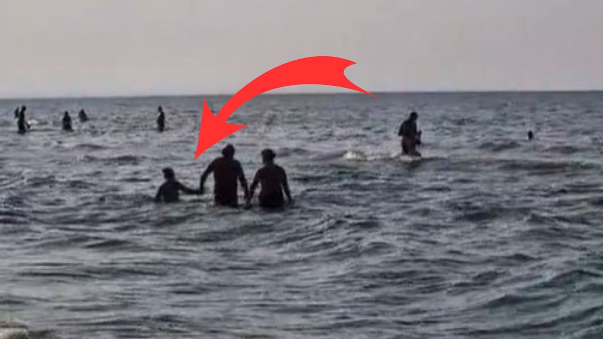 Sinice w Stegnie. Turyści lekceważą zakazy