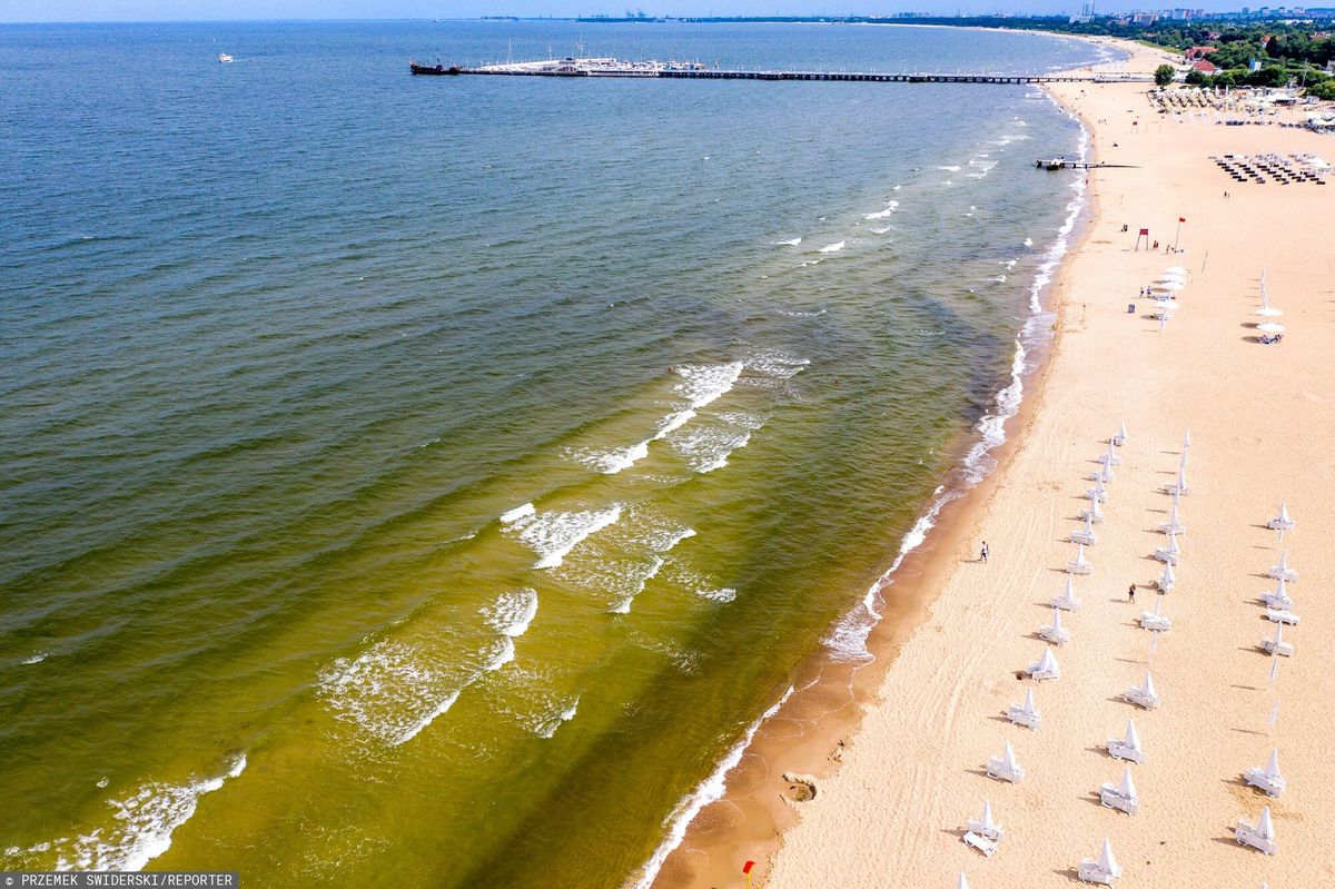 Plaże w Sopocie z powodu sinic są zamykane na kilka dni w sezonie 