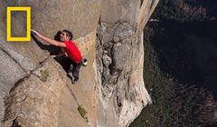 Dokument "Free Solo" w National Geographic