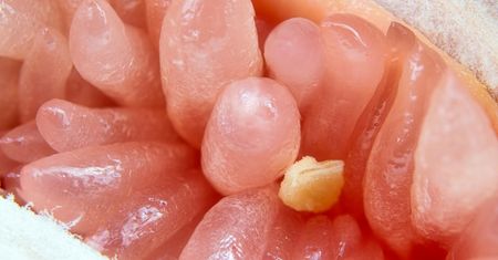 Walczysz z cholesterolem, wysokim cukrem i zbędnymi kilogramami? Codziennie sięgaj po ten owoc
