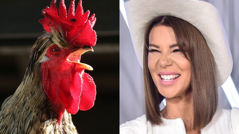 "The Voice of Poland". Krępujące pytanie Edyty Górniak podczas finału