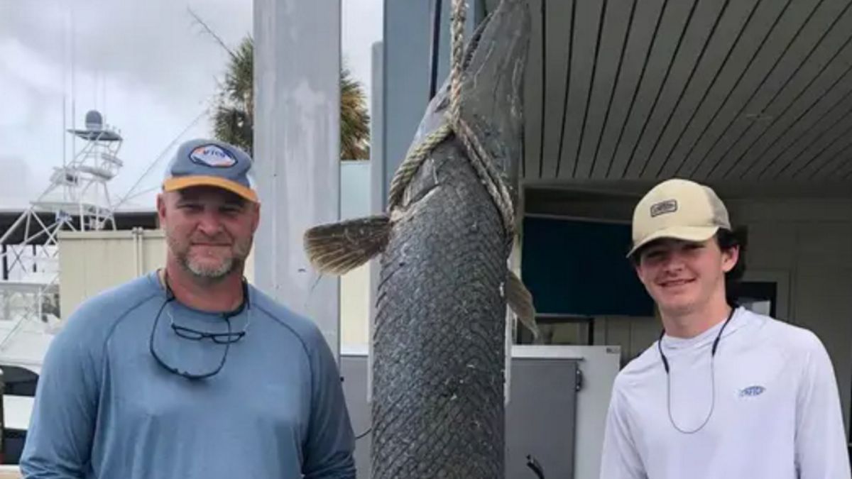 Ryba miała spore rozmiary