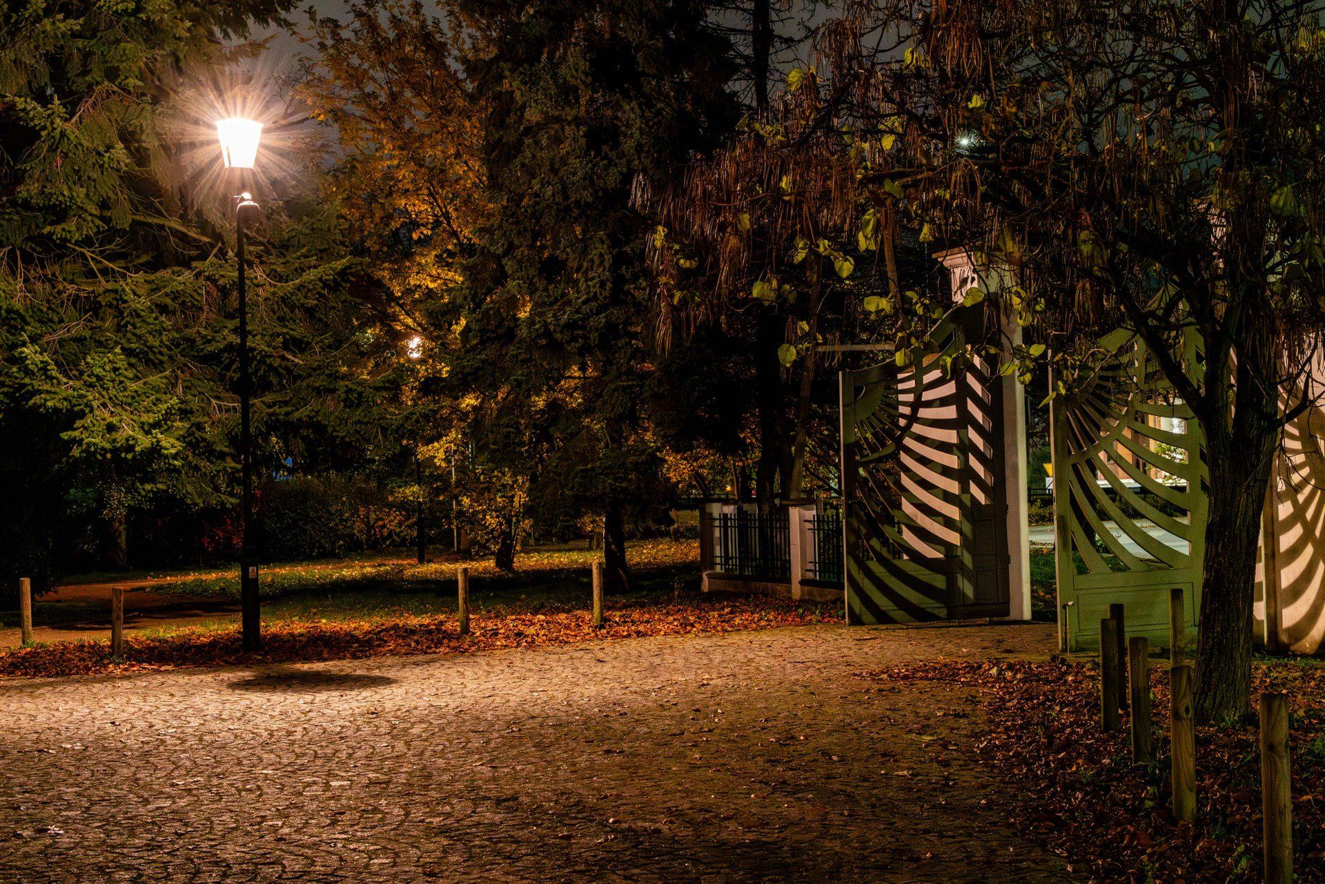 Park Oruński w Gdańsku zachwyca