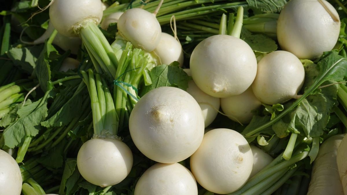 Białą rzepa- Pyszności