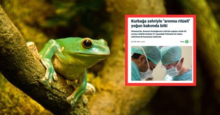 W Turcji piszą o Polce. Poddała się niebezpiecznemu rytuałowi