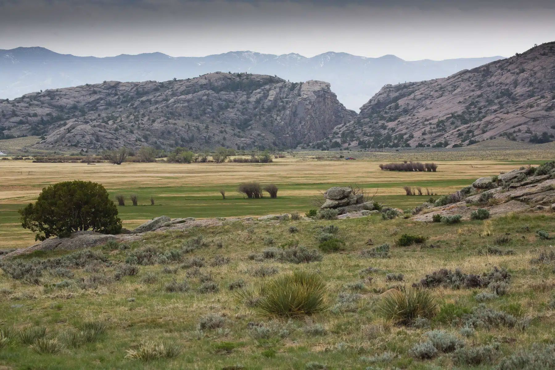 wiadomości,aktualności,WP Wiadomości To on kupił gigantyczne ranczo w Wyoming. W tle plotki o Zełenskim