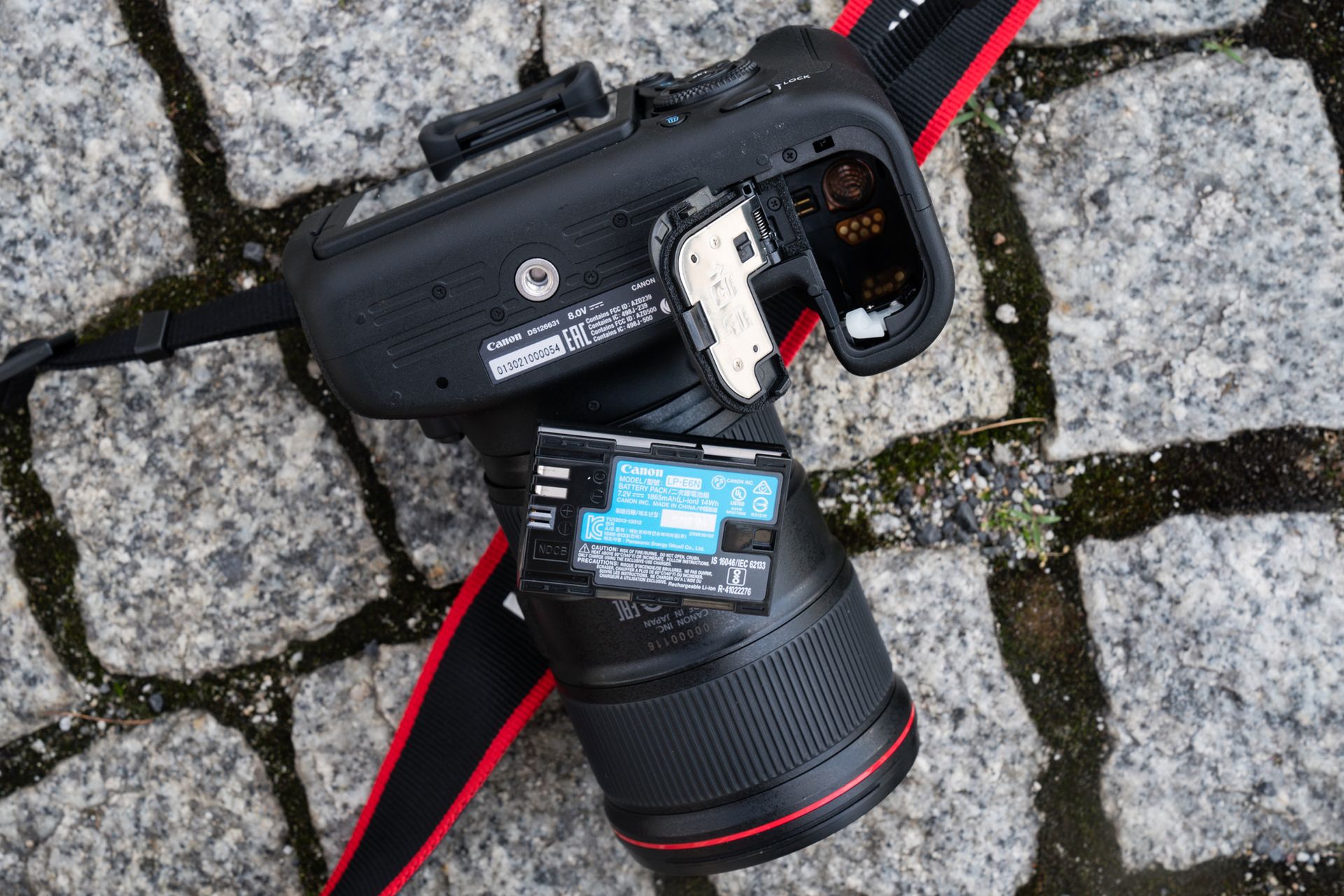 Canon EOS 6D Mark II - budżetowa pełna klatka powraca. Pierwsze wrażenia 14