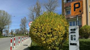 Starachowice: Strefa parkowania pod znakiem zapytania