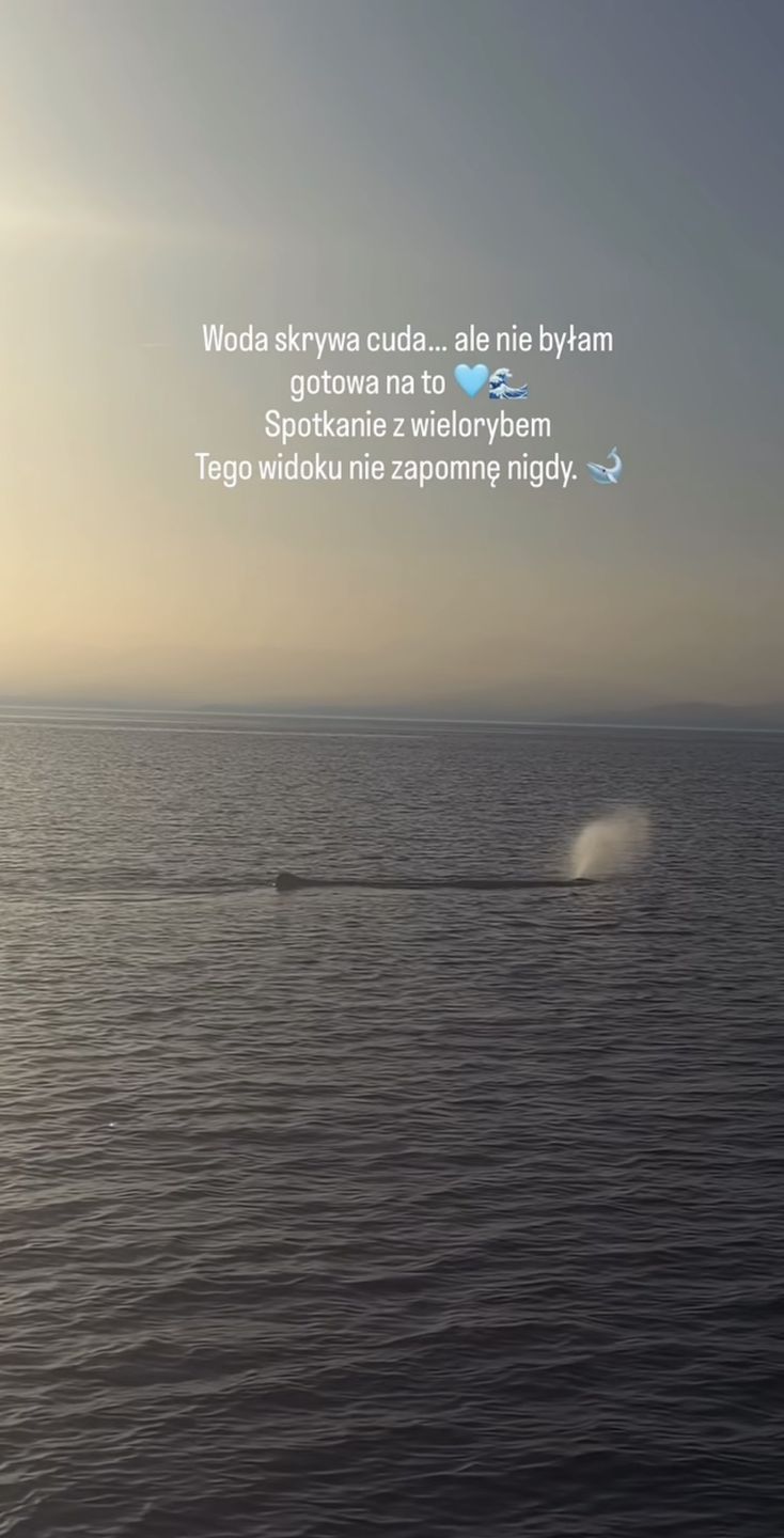 "Spotkanie" z wielorybem