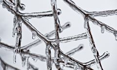 Pogoda. Weekend z polarnomorskim i arktycznym chłodem