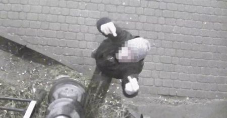 Strażnik nie wierzył własnym oczom. Zobaczył go w kamerze