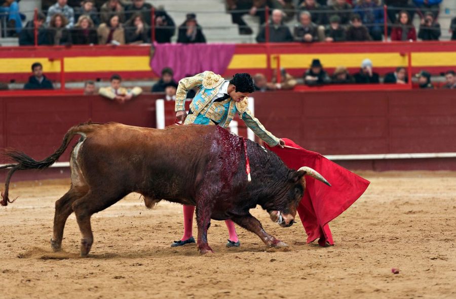 Protesters take to the streets as corrida returns to Mexico