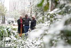 W Johannesburgu spadł pierwszy śnieg od 2012 roku. Mieszkańcy zachwyceni