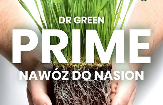 MediaCom dla marki Dr Green