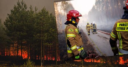 Najnowsze informacje ws. pożaru Puszczy Solskiej. "Ryzyko spadło"