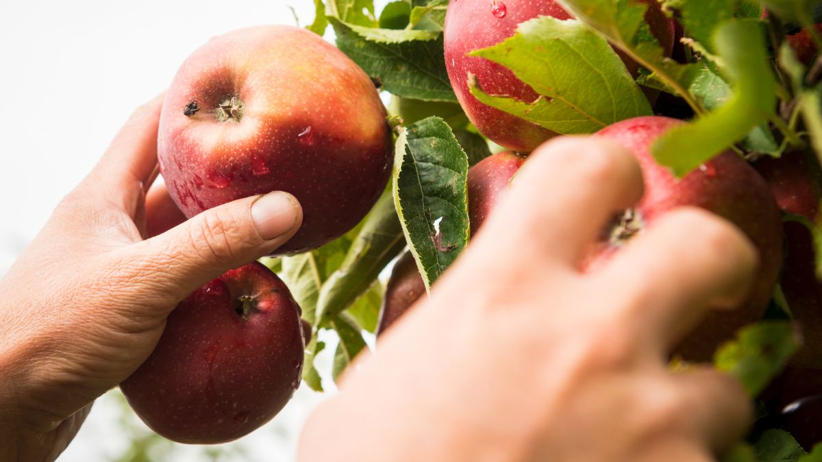 Wysokie stawki nie przyciągają pracowników?