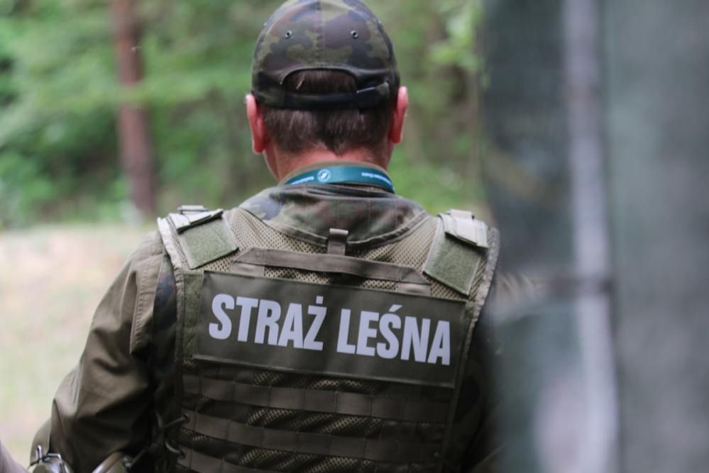 Lubelskie: Specjalna akcja Straży Leśnej. Kontrole na drogach, drony i fotopułapki