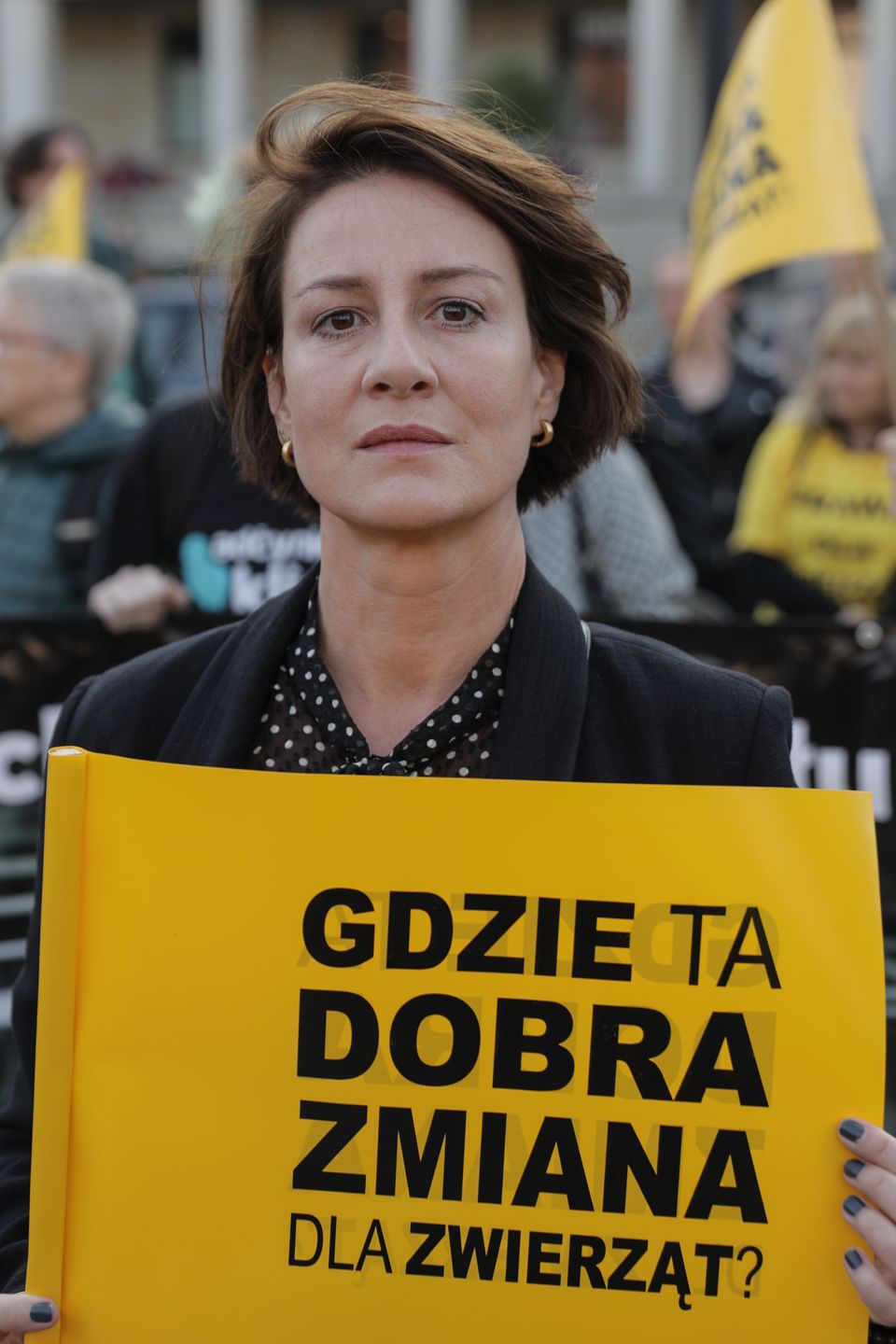 Wielki Marsz Dla Zwierząt