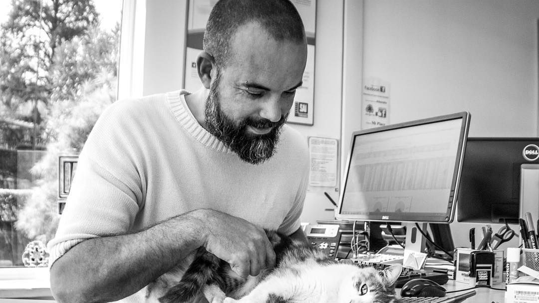 Kot w pracy opiekuna to szczęśliwy kot! Zobacz urocze zdjęcia 1