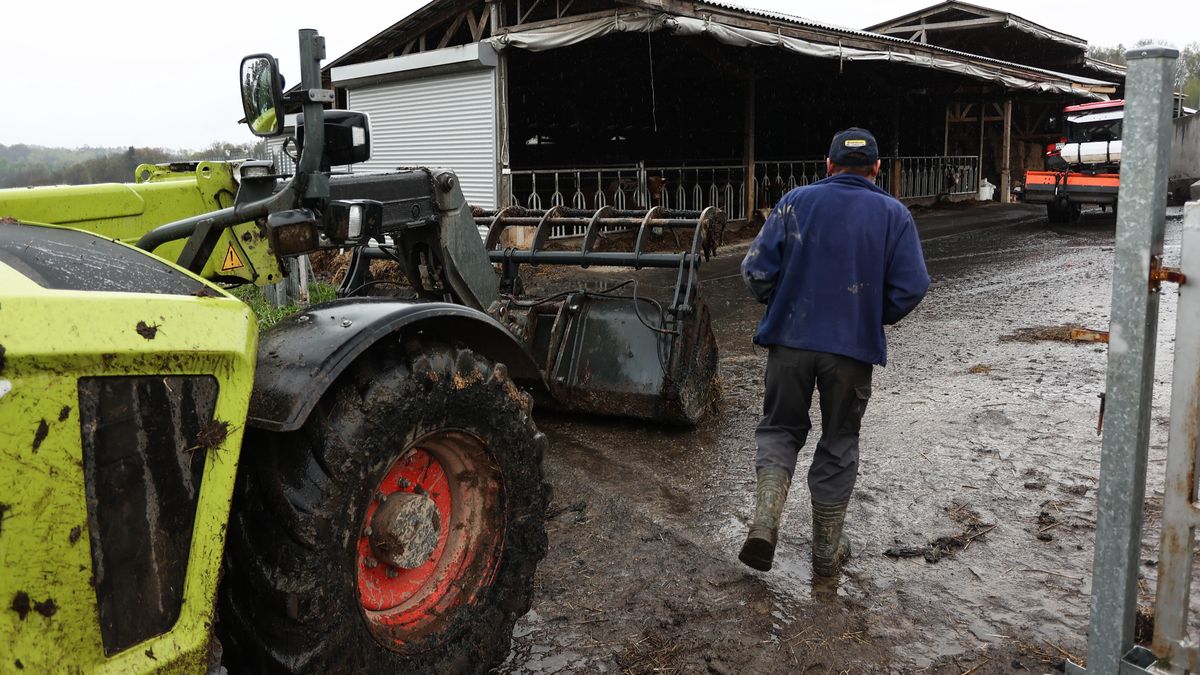 Polskie rolnictwo przechodzi aktualnie wielki kryzys