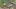 Chiński odpowiednik Google Maps wygląda jak SimCity