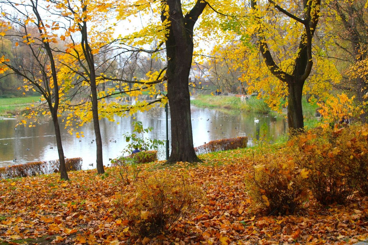Listopad zamienia się z lipcem. Nadciąga duże ocieplenie