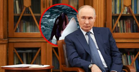 Rozbawiony Putin znalazł metaforę wojny. "To łańcuch pokarmowy"