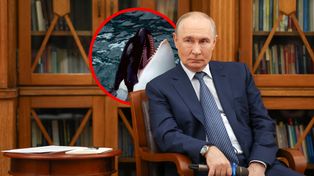 Rozbawiony Putin znalazł metaforę wojny. "To łańcuch pokarmowy"