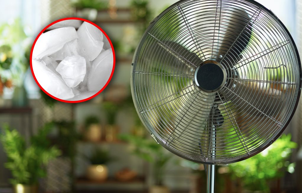 Jak ochłodzić mieszkanie bez klimatyzacji? Skuteczne sposoby na upały
