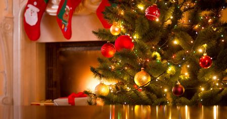 Jak przedłużyć trwałość żywej choinki? Domowe sposoby