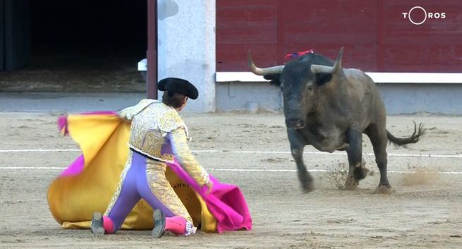 Na świecie są kanały z rodeo, militarne i kryminalne dla kobiet. Jakich TV nie ma w Polsce?