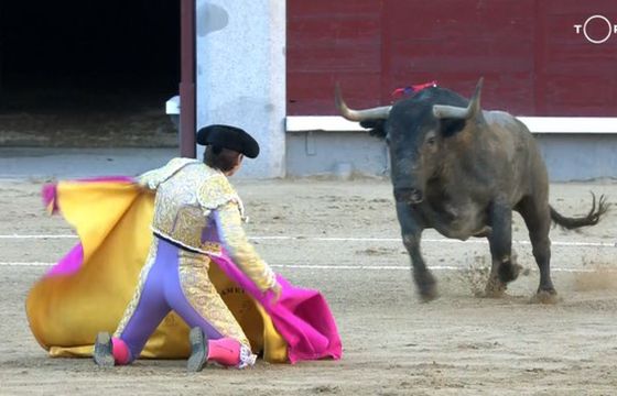 Na świecie są kanały z rodeo, militarne i kryminalne dla kobiet. Jakich TV nie ma w Polsce?