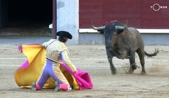 Na świecie są kanały z rodeo, militarne i kryminalne dla kobiet. Jakich TV nie ma w Polsce?