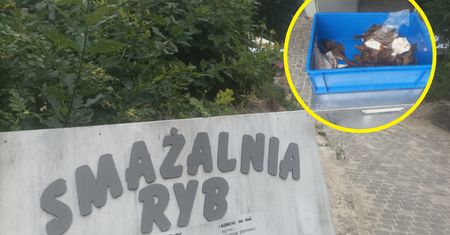 Świeża ryba nad Bałtykiem – fakt, czy wabik na turystów? Sprawdziliśmy