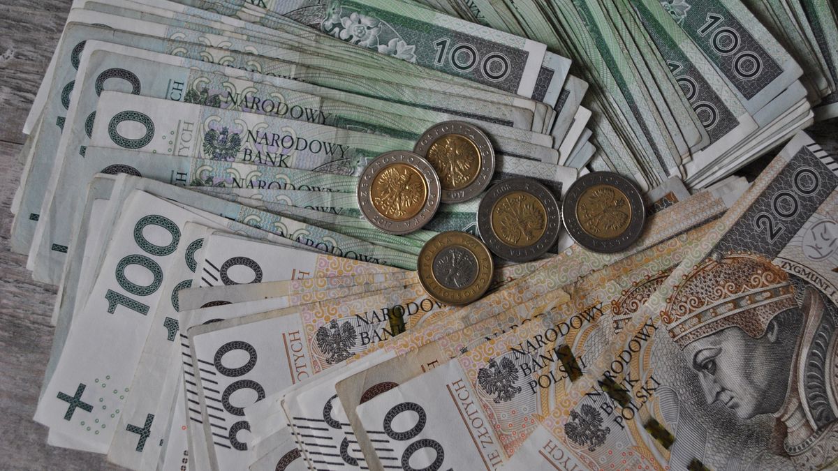 waluta, gotówka, bisnes, finanse, bank, bogactwo, banknot, bankowej, papier, banknoty, monety, 100, bilon, finansowy, kredyty, izolowany