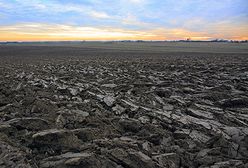 Elektrownia atomowa w Polsce