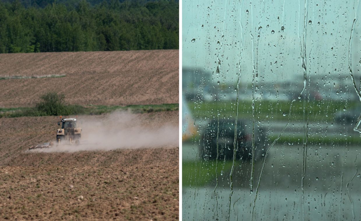 Niepokój w prognozie. Będzie padać, ale na suszę to nie pomoże