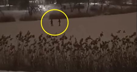 "Nie róbcie tego!". Nagranie z parku w Warszawie oburzyło internautów