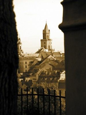 Obraz