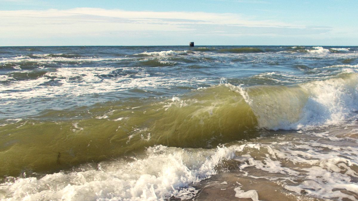 Polskie plaże zostały zanieczyszczone