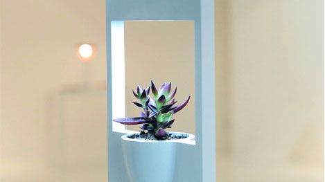 Ku pamięci. Pamiątka po Polaroidzie 1