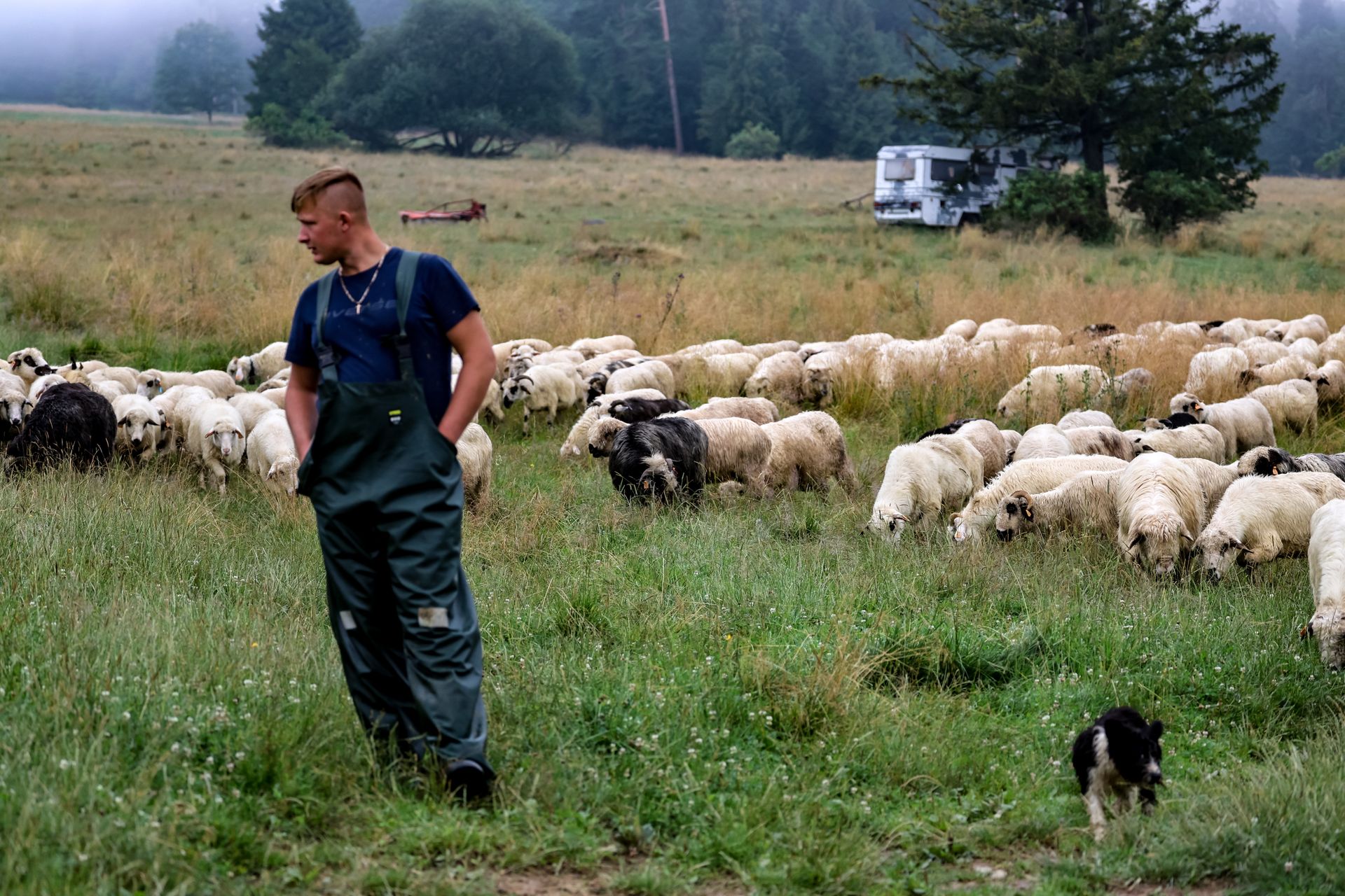 Oscypek zagrożony. Coraz większy problem na Podhalu