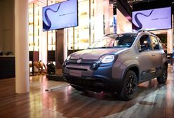 Fabryka w Tychach. Fiat wyprodukuje nowoczesne modele samochodów