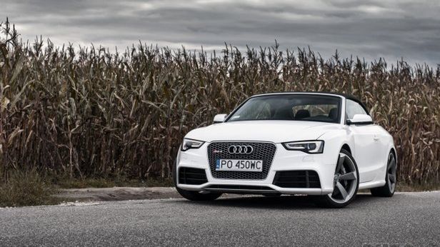 Zdjęcie ilustracyjne do artykułu