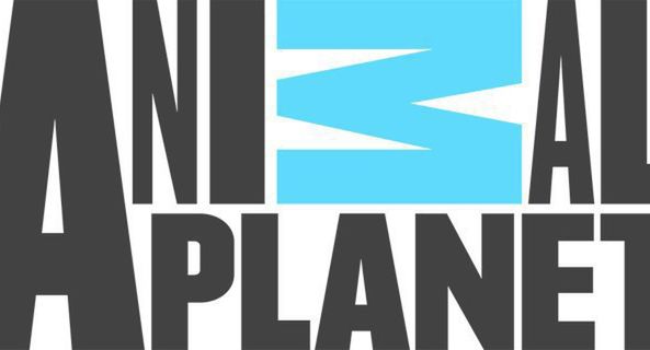 Animal Planet w nowej szacie graficznej i formacie 16:9 (wideo)
