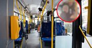 Dantejskie sceny w autobusie. Jest oświadczenie władz