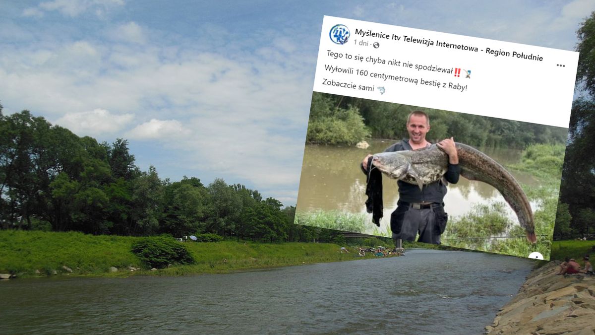 Złowił rybę giganta w małopolskiej Rabie